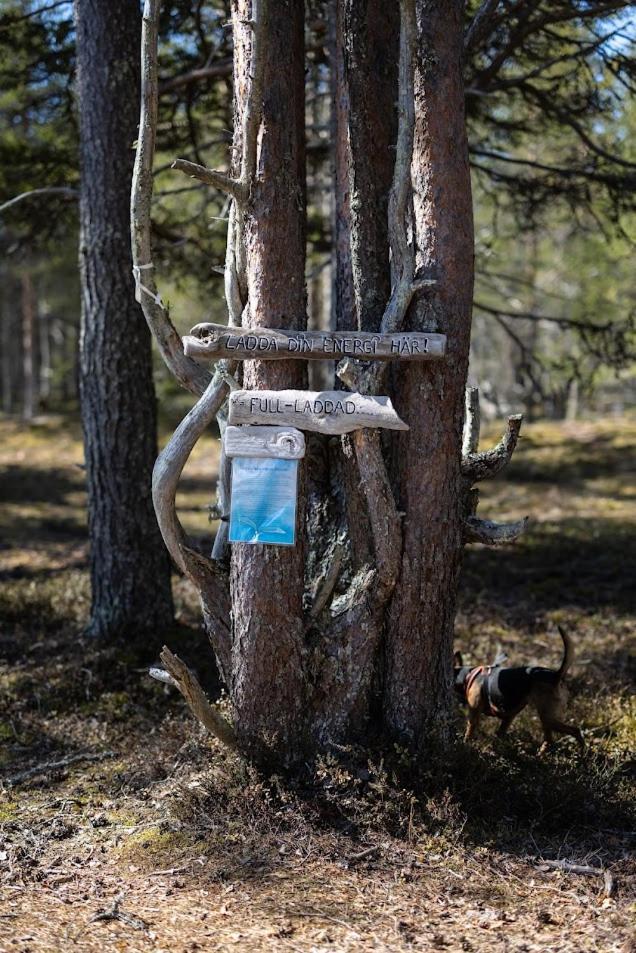Hotel Nordic Lapland Frevisoeren Båtskärsnäs Esterno foto