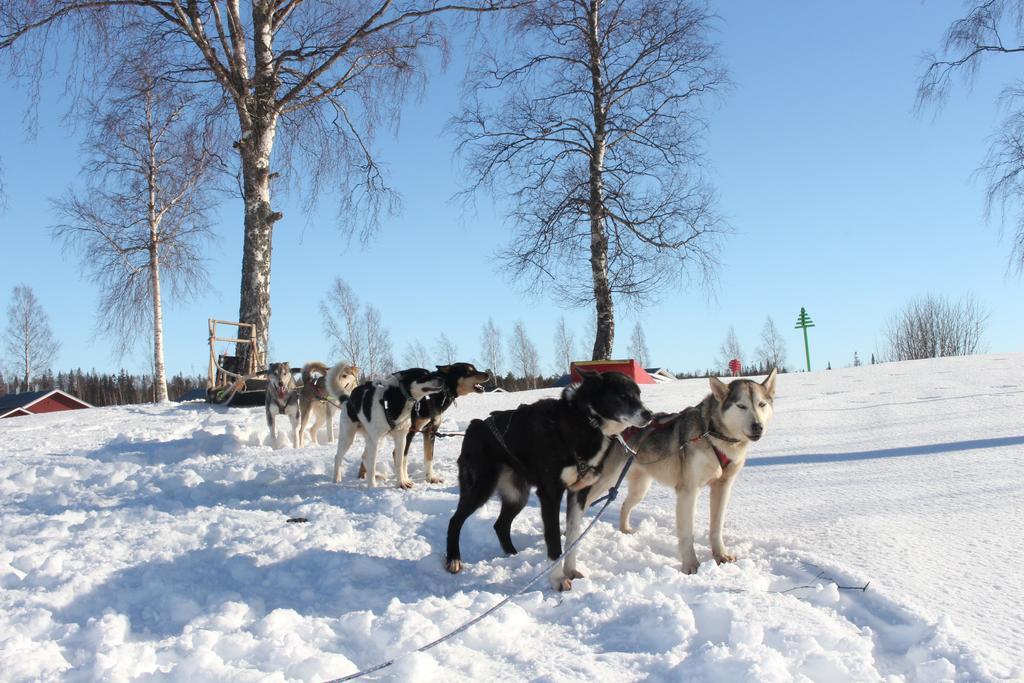 Hotel Nordic Lapland Frevisoeren Båtskärsnäs Esterno foto